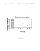 Microcarriers for Stem Cell Culture diagram and image