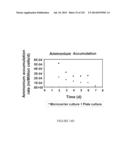 Microcarriers for Stem Cell Culture diagram and image