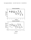 Microcarriers for Stem Cell Culture diagram and image