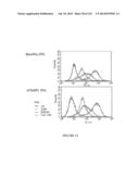 Microcarriers for Stem Cell Culture diagram and image