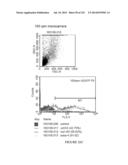 Microcarriers for Stem Cell Culture diagram and image