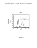 Microcarriers for Stem Cell Culture diagram and image