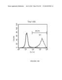 Microcarriers for Stem Cell Culture diagram and image