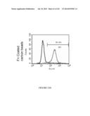 Microcarriers for Stem Cell Culture diagram and image