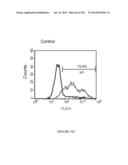 Microcarriers for Stem Cell Culture diagram and image