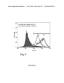 Microcarriers for Stem Cell Culture diagram and image