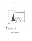 Microcarriers for Stem Cell Culture diagram and image