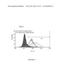 Microcarriers for Stem Cell Culture diagram and image