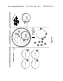 Introduction of Modular Vector Elements During Production of a Lentivirus diagram and image