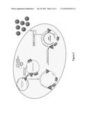 Introduction of Modular Vector Elements During Production of a Lentivirus diagram and image