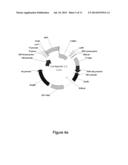 Introduction of Modular Vector Elements During Production of a Lentivirus diagram and image