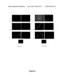 Introduction of Modular Vector Elements During Production of a Lentivirus diagram and image