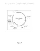 Introduction of Modular Vector Elements During Production of a Lentivirus diagram and image