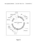 Introduction of Modular Vector Elements During Production of a Lentivirus diagram and image