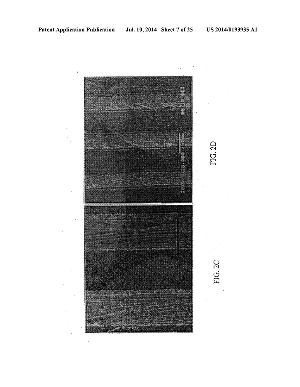 COLLECTIONS OF LATERALLY CRYSTALLIZED SEMICONDUCTOR ISLANDS FOR USE IN     THIN FILM TRANSISTORS - diagram, schematic, and image 08