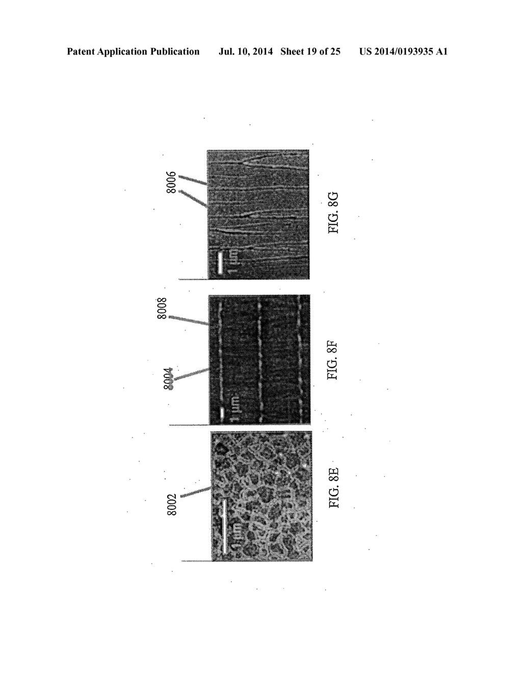 COLLECTIONS OF LATERALLY CRYSTALLIZED SEMICONDUCTOR ISLANDS FOR USE IN     THIN FILM TRANSISTORS - diagram, schematic, and image 20