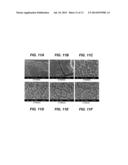 LOW THERMAL CONDUCTIVITY MATRICES WITH EMBEDDED NANOSTRUCTURES AND METHODS     THEREOF diagram and image