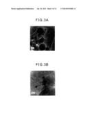 NOX PURIFICATION CATALYST diagram and image