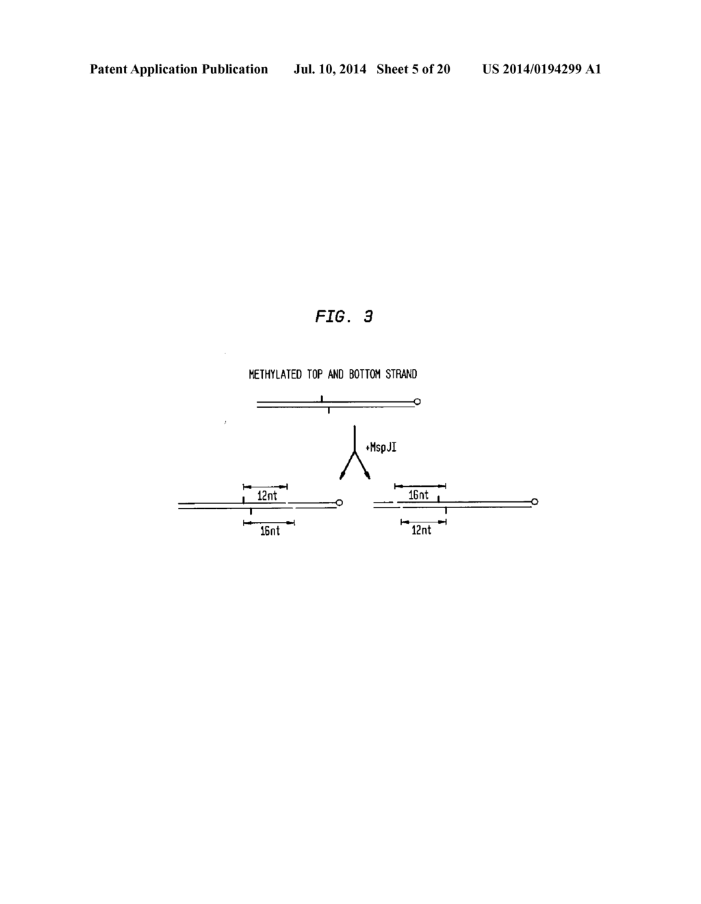 COMPOSITIONS, METHODS AND RELATED USES FOR CLEAVING MODIFIED DNA - diagram, schematic, and image 06