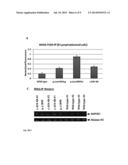 METHODS AND COMPOSITIONS FOR RAPID FUNCTIONAL ANALYSIS OF GENE VARIANTS diagram and image