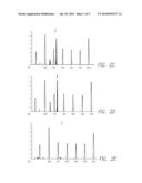 BIOMARKERS FOR THE DETECTION OF HEAD AND NECK TUMORS diagram and image