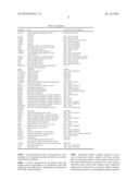 BIOMARKERS FOR THE DETECTION OF HEAD AND NECK TUMORS diagram and image