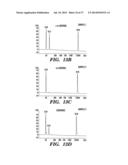 USE OF MICROVESICLES IN DIAGNOSIS AND PROGNOSIS OF MEDICAL DISEASES AND     CONDITIONS diagram and image