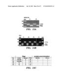 USE OF MICROVESICLES IN DIAGNOSIS AND PROGNOSIS OF MEDICAL DISEASES AND     CONDITIONS diagram and image