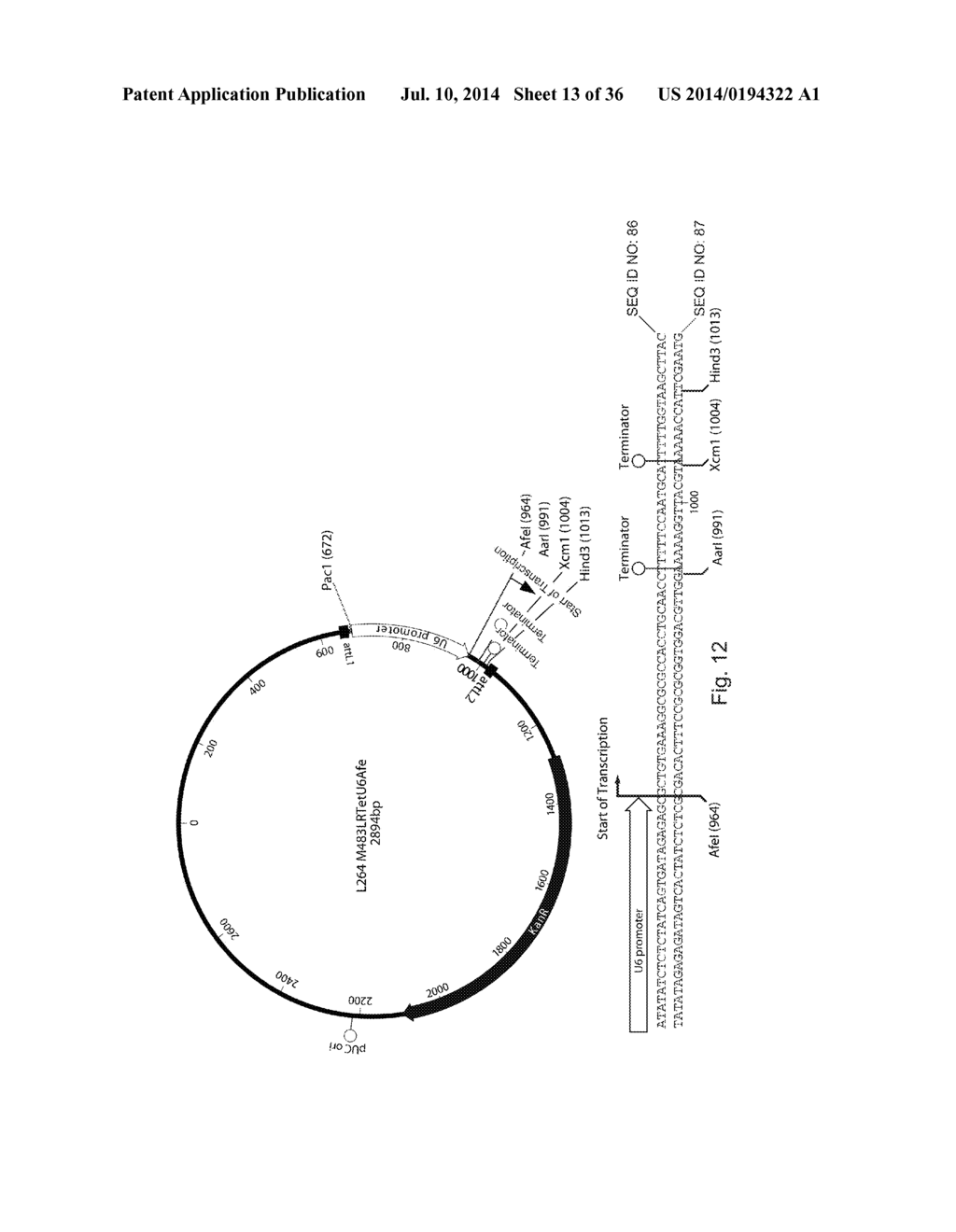 Methods for Creating and Identifying Functional RNA Interference Elements - diagram, schematic, and image 14