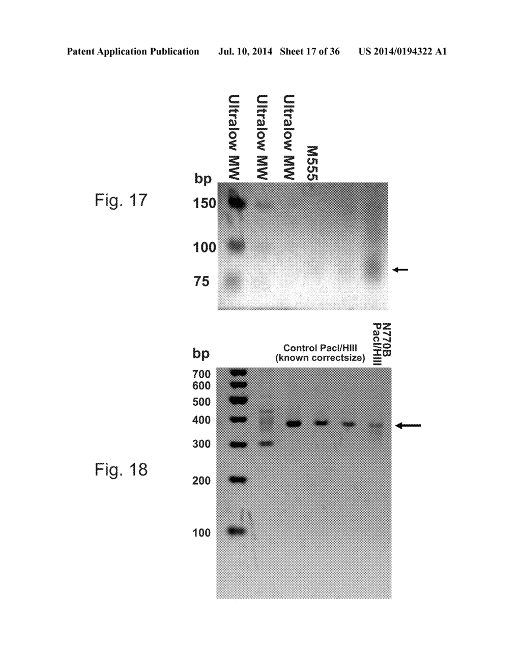 Methods for Creating and Identifying Functional RNA Interference Elements - diagram, schematic, and image 18