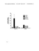 Peptide-Based Peroxidase Inhibitors and Methods of Using Same diagram and image