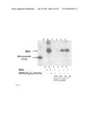 Peptide-Based Peroxidase Inhibitors and Methods of Using Same diagram and image