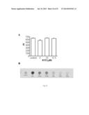 Peptide-Based Peroxidase Inhibitors and Methods of Using Same diagram and image