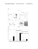 PASTEURELLACEAE VACCINES diagram and image