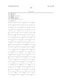 Isolated Nucleic Acid Molecules Encoding Variant Activin Receptor     Polypeptides diagram and image