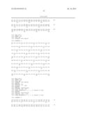 Isolated Nucleic Acid Molecules Encoding Variant Activin Receptor     Polypeptides diagram and image