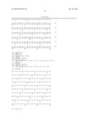 Isolated Nucleic Acid Molecules Encoding Variant Activin Receptor     Polypeptides diagram and image