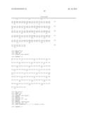 Isolated Nucleic Acid Molecules Encoding Variant Activin Receptor     Polypeptides diagram and image