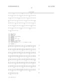 Isolated Nucleic Acid Molecules Encoding Variant Activin Receptor     Polypeptides diagram and image