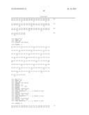 Isolated Nucleic Acid Molecules Encoding Variant Activin Receptor     Polypeptides diagram and image