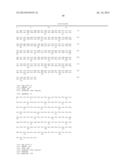 Isolated Nucleic Acid Molecules Encoding Variant Activin Receptor     Polypeptides diagram and image