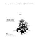 Modified Relaxin Polypeptides and Their Uses diagram and image