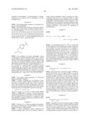 Modified Relaxin Polypeptides and Their Uses diagram and image