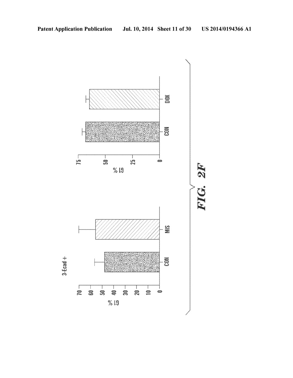 OVARIAN CANCER STEM CELLS AND METHODS OF ISOLATION AND USES THEREOF - diagram, schematic, and image 12