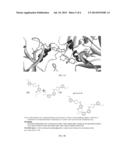 MONOMERS CAPABLE OF DIMERIZING IN AN AQUEOUS SOLUTION, AND METHODS OF     USING SAME diagram and image