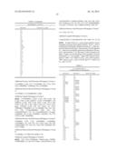 MONOMERS CAPABLE OF DIMERIZING IN AN AQUEOUS SOLUTION, AND METHODS OF     USING SAME diagram and image