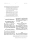 DERIVATIVES OF 1-AMINO-2-CYCLOBUTYLETHYLBORONIC ACID diagram and image