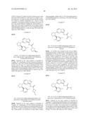 METHOD OF TREATMENT USING SUBSTITUTED PYRAZOLO[1,5-a]PYRIMIDINE COMPOUNDS diagram and image