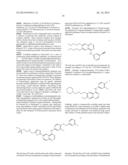 FATTY ACID SYNTHASE INHIBITORS diagram and image