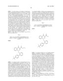 NAPHTHYRIDINONE DERIVATIVES AND THEIR USE IN THE TREATMENT, AMELIORATION     OR PREVENTION OF A VIRAL DISEASE diagram and image